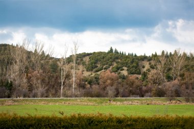 Yatay, yeşil çim sahası, ağaçlar tepe üzerinde 