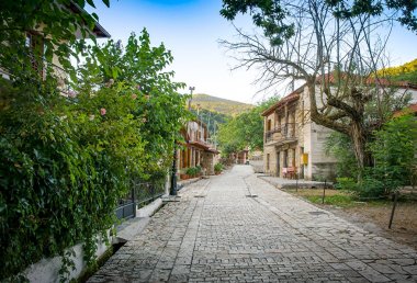Yunanistan Zarouhla köy evleri ile sokak. 