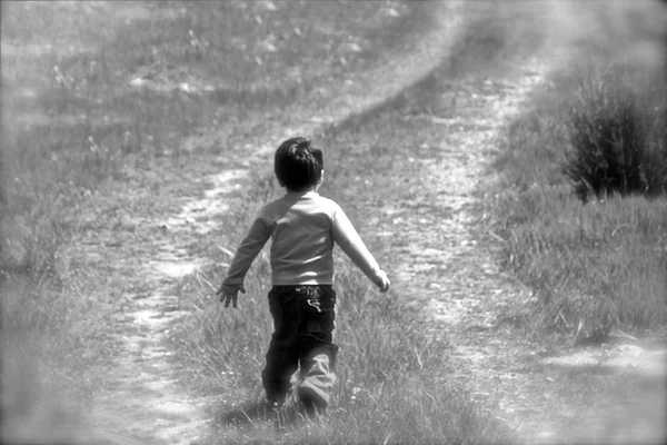 Sunny Day Little Boy Running Meadow Green Grass Soft Focus — Stock Photo, Image