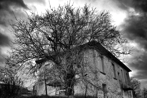 Maison de Scène Hantée. Une vieille maison vintage — Photo