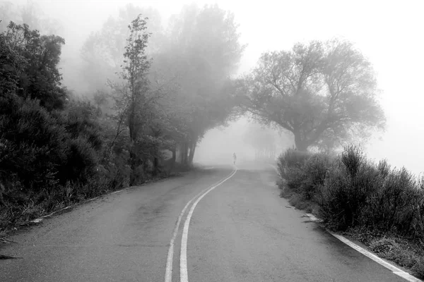 Route vers nulle part. Femme marchant dans le brouillard nature — Photo