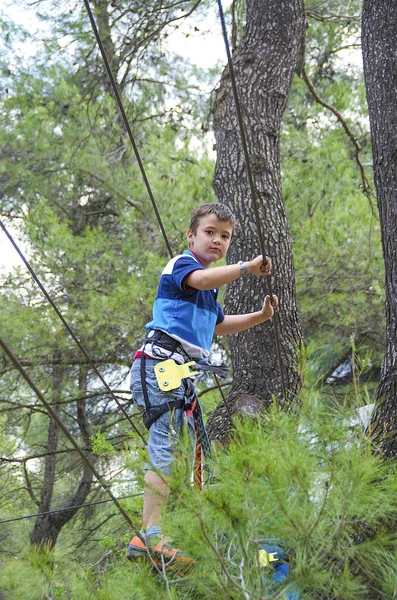 Αναψυχή και δραστηριότητες στη φύση. Μικρό αγόρι κρέμονται και το περπάτημα — Φωτογραφία Αρχείου