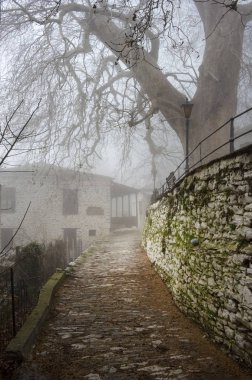 Evler ve taş sokakları sisin içinde. Pelion dağ, Milies Köyü, Yunanistan.