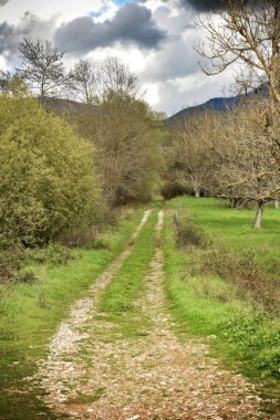 Sonbaharda kır yolu, tarlalar ve ağaçlar