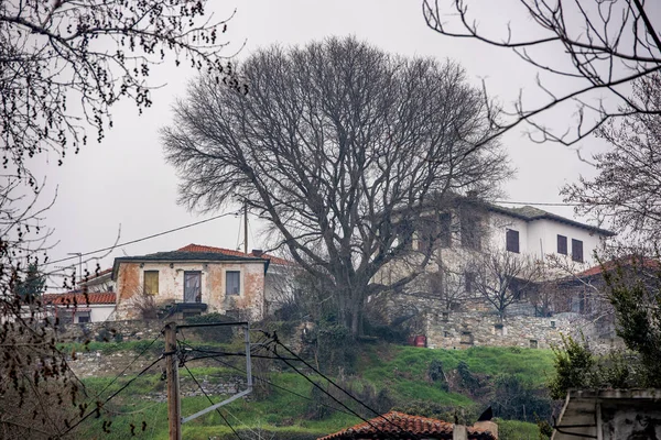 Nevoeiro Acima Das Casas Tradicionais Milies Aldeia Montanha Pelion Greece — Fotografia de Stock