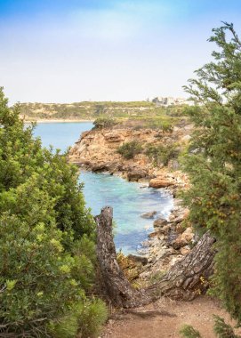 Rafina, Yunanistan'da kayalık bir plajın panoramik manzarası.