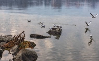 Yunanistan 'ın Ioannina şehrinde. Pamvotis Gölü 'ne bakın
