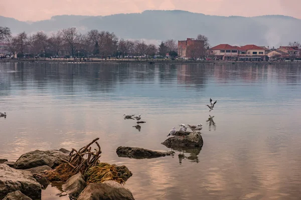 Ioannina City Greece View Lake Pamvotis — Stock Photo, Image