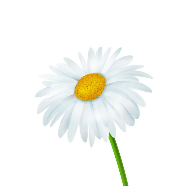 Flor vectorial realista — Vector de stock