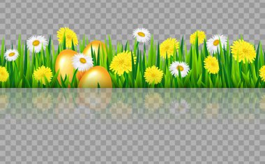 Sorunsuz çim kenarlık