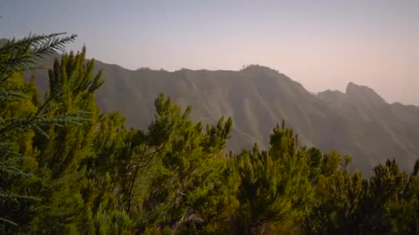 Beautiful forest landscape with mountain range. Tropical forest. Vegetation swaying from the wind. — ストック動画