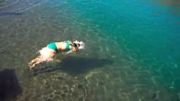 Молодая женщина в бирюзовом купальнике плавает в прозрачных тропических водах . — стоковое видео