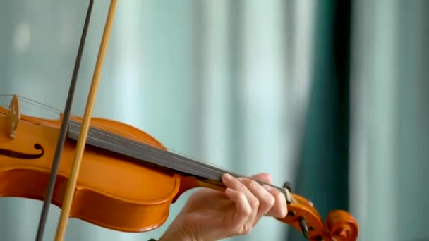 Young woman playing the violin. Hands of musician, close up view — Stock Video
