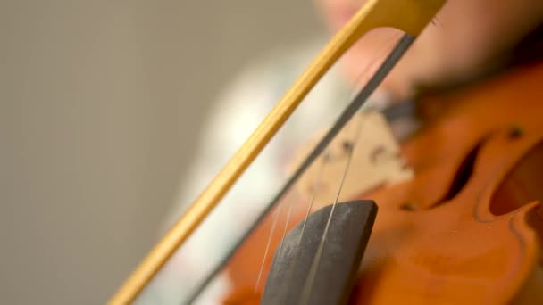 Девушка, играющая на скрипке. Руки музыканта крупным планом — стоковое видео