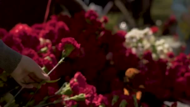 RÚSSIA, SAINT-PETERSBURG, SESTRORETSK - 9 de maio de 2019. Cemitério Memorial de Sestroretsk. Os residentes da cidade põem flores . — Vídeo de Stock