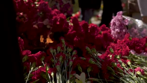 RUSSIA, SAINT-PETERSBURG, SESTRORETSK - May 9, 2019. Sestroretsk Memorial Cemetery. Laying flowers. — Stock Video