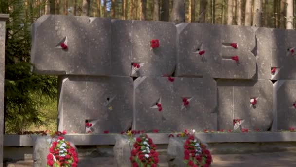 ロシア,サンクトペテルスブルグ州,セストルツク- 2019年5月9日。メモリアル墓地。レニングラードの防衛者への石の記念碑. — ストック動画
