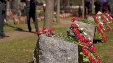 9 Mayıs - Büyük Vatanseverlik Savaşında Zafer Günü. Memorial Mezarlığı. Çiçek seriyorum..