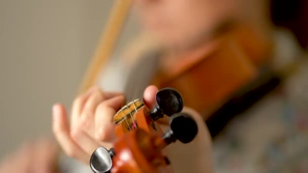 Violín en manos de una joven violinista. Diapasón vista de cerca. Vista frontal — Vídeos de Stock