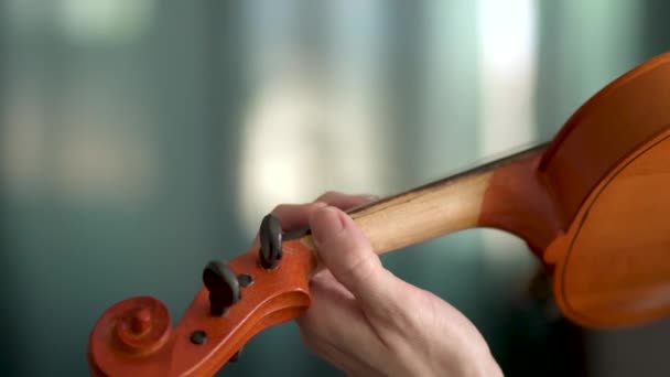 Jonge vrouw die viool speelt. Linkerhand violist en toets van viool, van dichtbij gezien. Vooraanzicht — Stockvideo