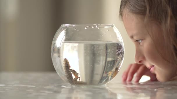 물밑에 있는 뉴트는 둥근 물 속에서 헤엄치고 있다. 트리톤을 관찰하는 어린 소녀. — 비디오