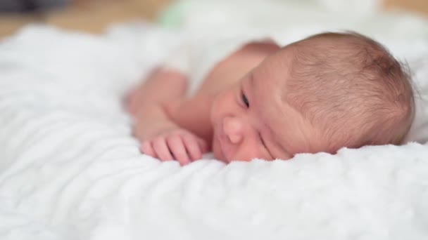 Cute little newborn baby sleeping in a dream — Stock Video