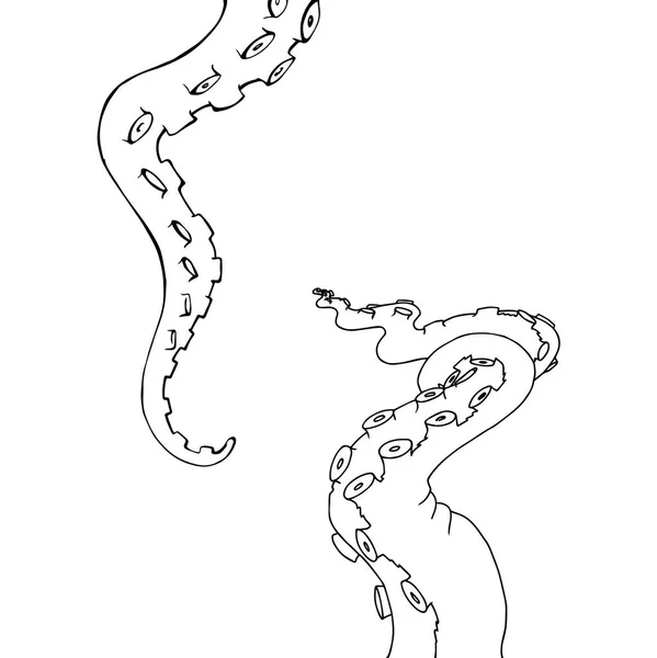 Vektor sketsa kartun oktopus tentakel - Stok Vektor