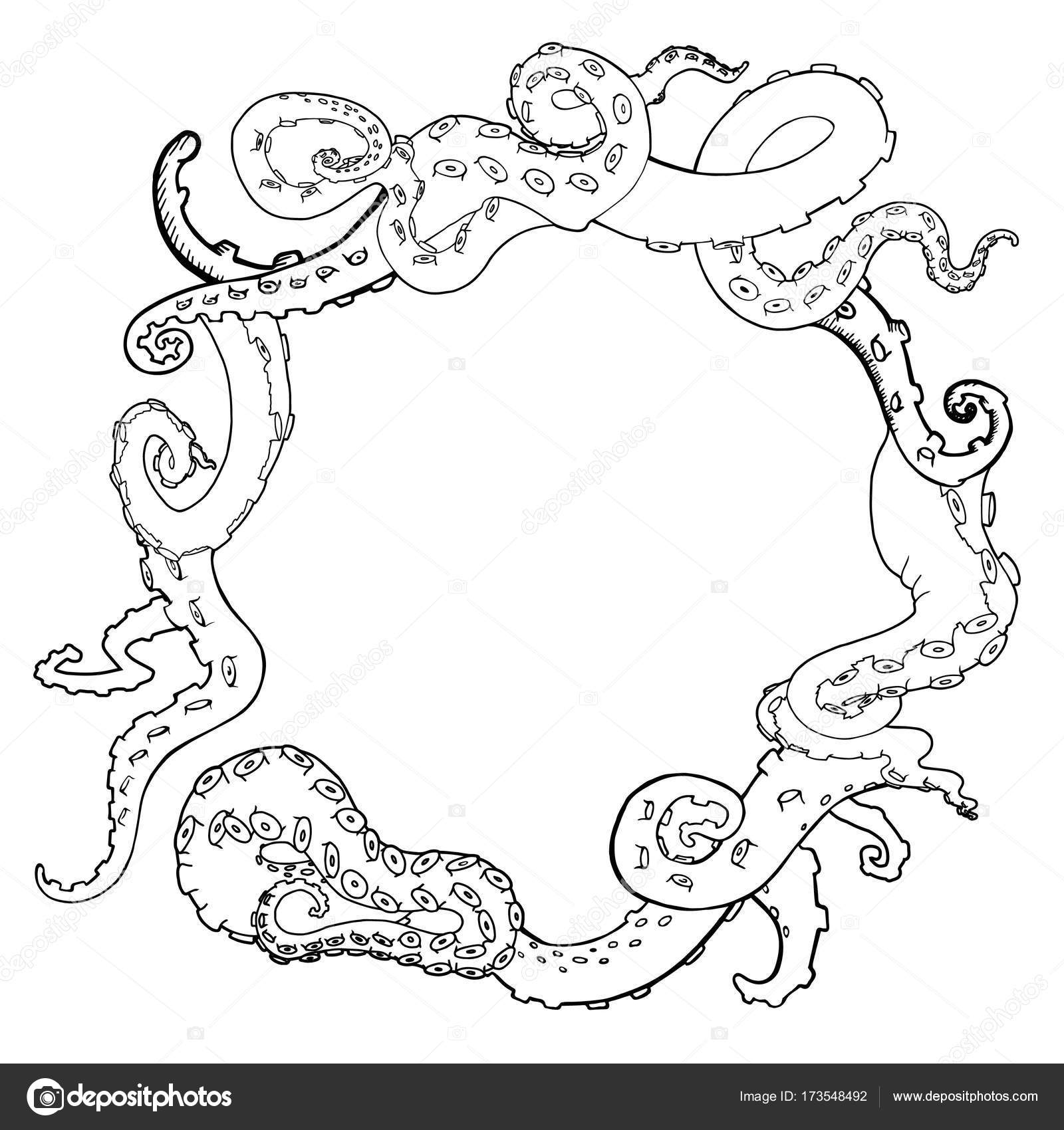 Vector sketch cartoon octopus tentacles Stock Vector Image by