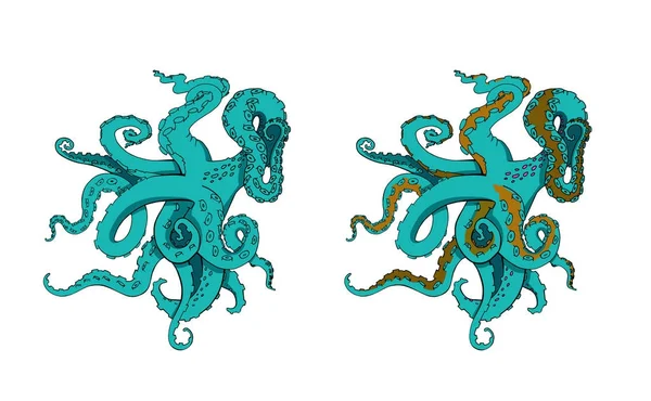 Vector esboço desenhos animados tentáculos de polvo — Vetor de Stock