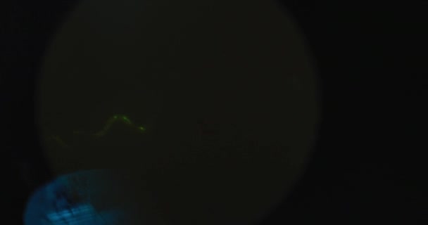 Captura Portátil Microrganismos Verdes Destacados Vermes Nematoides Elegans Sob Microscópio — Vídeo de Stock