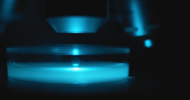 在实验室工作的过程中 在显微镜下近距离拍摄了一盘灯火通明的培养皿 黑暗房间里的蓝光 慢动作 用Bmpcc 生物化学 — 图库视频影像