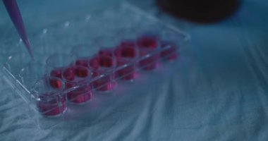 Bilim adamı kırmızı sıvı örneğini mikro pipetle test tüplerine yerleştiriyor. Yaklaş, sola dön, yavaş çekim, Bmpcc 4k. çekim. Konsept: kimya, bilim