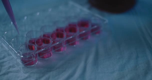 Cientista Que Coloca Uma Amostra Líquida Vermelha Com Micro Pipeta — Vídeo de Stock