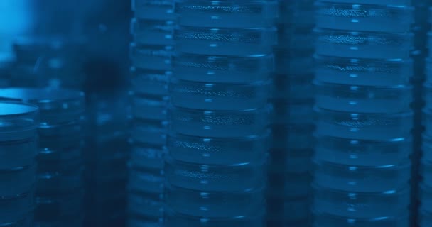 青色の照明付きの研究室の部屋に高積層ペトリ皿 スローモーション ドリーライト 閉じる Bmpcc 4Kで撮影 生化学 医薬品 科学の概念 — ストック動画