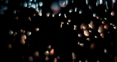 Soyut renkli bokeh ışıkları, arka plan için b-roll görüntüleri. Hızla yukarı aşağı hareket eden odaksız ışıklar, halüsinasyon kavramı. Yakın çekim, sığ alan derinliği, Bmpcc 4k görüntü