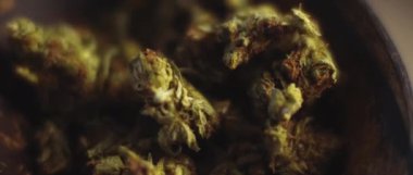 Kenevir tomurcuklarını bir kaseye koy, sığ bir alan derinliği, yavaş çekim, Bmpcc 4k. Marihuana, ot, sigara konsepti. Cbd, Thc görüntüleri