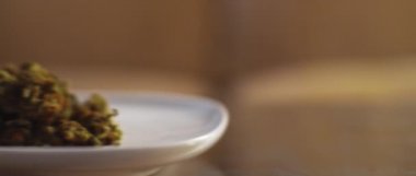 Tabakta esrar tomurcukları bir masaya taşınıyor, yakın çekim, sığ alan derinliği. Bmpcc 4k. Marihuana, ot, sigara konsepti. Cbd, Thc görüntüleri 