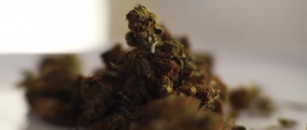 Närbild Cannabis Knoppar Jon Vit Platta Grunt Skärpedjup Slow Motion — Stockvideo