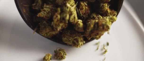 Gros Plan Des Bourgeons Cannabis Étalés Sur Une Assiette Blanche — Video