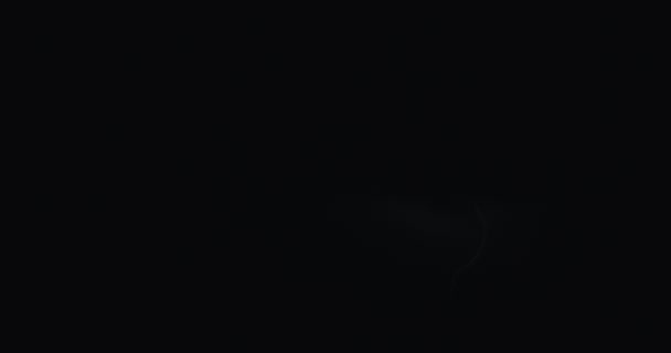 Вид Удари Блискавок Нічне Темне Небо Влітку Смертельне Небо Блискавкою — стокове відео