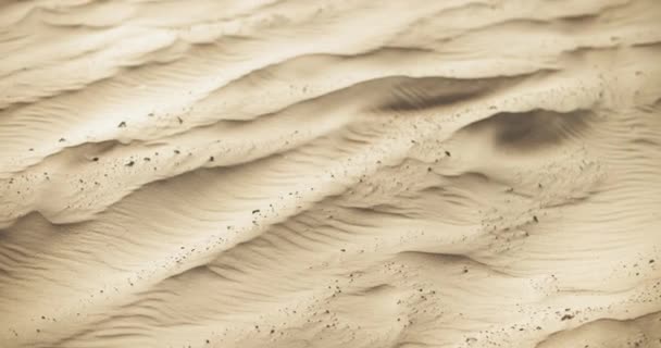 Cinematic closeup slow motion 4K footage of sand dunes at ocean beach at sunset, with the wind blowing and the dust. Shot with Blackmagic Design Pocket Cinema Camera 4K. — Stock Footage Cinematic Closeup Slow Motion Footage Sand Dunes Ocean Beach Sunset Video Clip