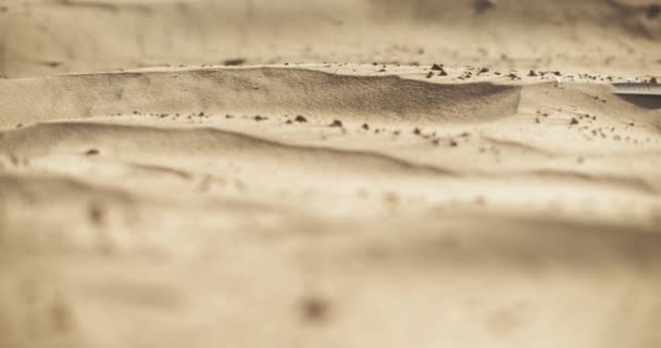 Кинематографический Крупный План Замедленной Съемки Песчаных Дюн Океанском Пляже Закате — стоковое видео