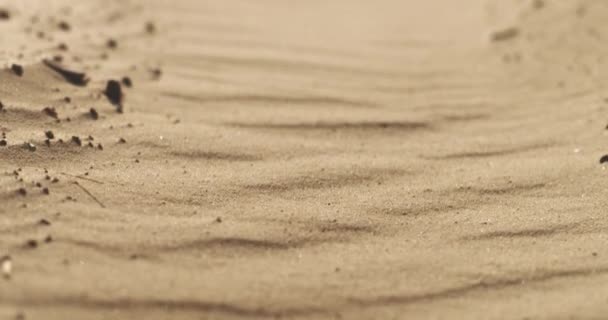 Filmische Nahaufnahme Zeitlupe Aufnahmen Von Sanddünen Strand Des Ozeans Bei — Stockvideo