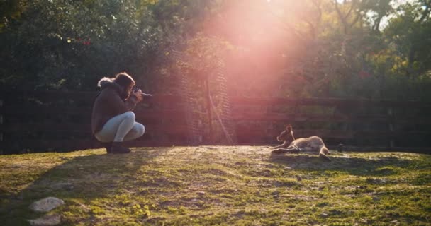 Tânără Turistă Care Fotografiază Cangur Fermă Flacără Roşie Soare Mişcare — Videoclip de stoc