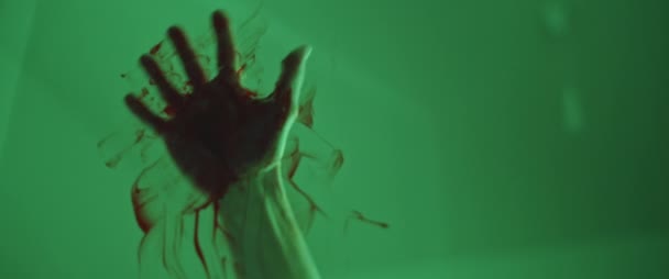 Blutige Hand Zerkratzt Glas Eingeklemmte Verletzte Person Auf Der Flucht — Stockvideo