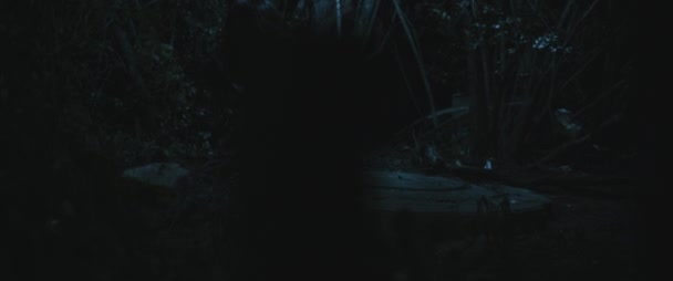 可怕的僵尸生物女人在森林里吃人的手 女人变成僵尸的概念 恐怖片风格拍摄 电影风格 Bmpcc — 图库视频影像
