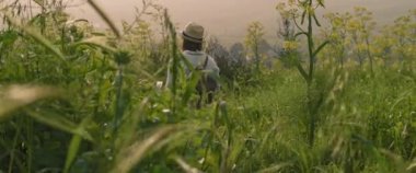 Gün batımında yeşil alanda yürüyen sırt çantalı ve şapkalı genç bir kız. Yavaş hareket et, Shallow Dof. Macera, yaşam tarzı konsepti. BMPCC 4K 