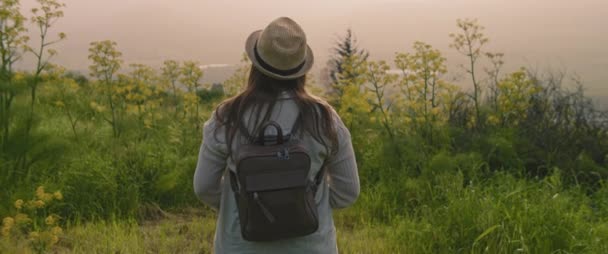 Una Joven Con Mochila Sombrero Caminando Por Campo Verde Atardecer — Vídeos de Stock