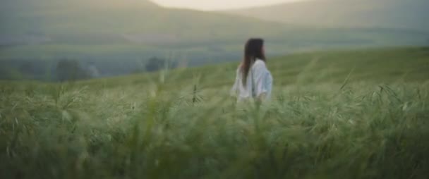 Mladá Dívka Klasickou Kamerou Procházející Při Západu Slunce Pšeničným Polem — Stock video