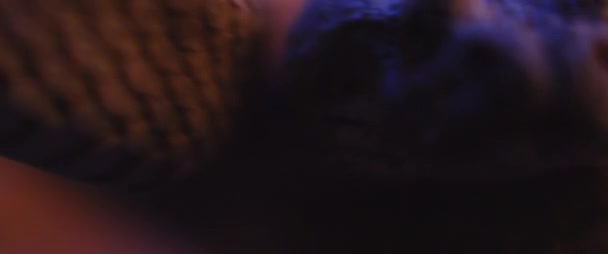 可怕的角毒蛇试图攻击和咬 同时看着相机 慢动作 Bmpcc 4K的浅层深度 — 图库视频影像